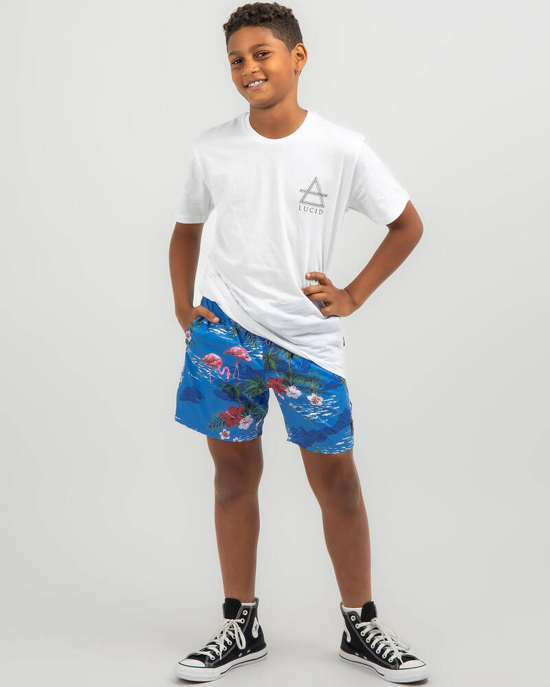 Lucid Boys' Arcadia Elastic Waist Shorts for Mens