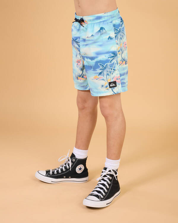 Quiksilver Boys' Everyday Straight Volley Board Shorts for Mens