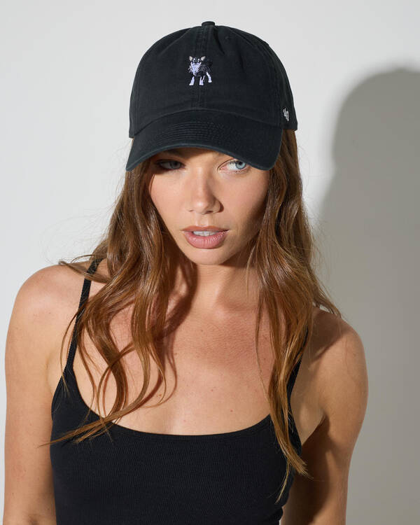 Pets Shiba Inu Cap