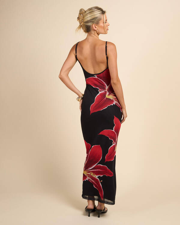 Mooloola Lianna Maxi Dress for Womens