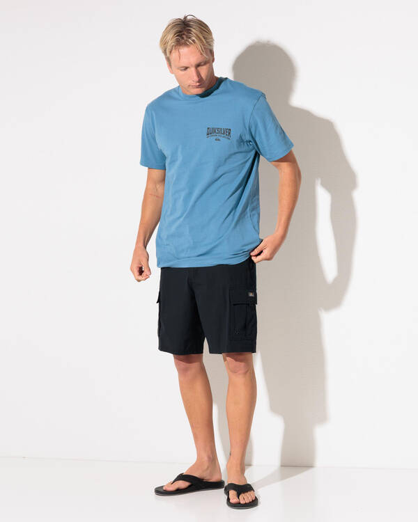 Quiksilver Endurance Walkshort 20 for Mens