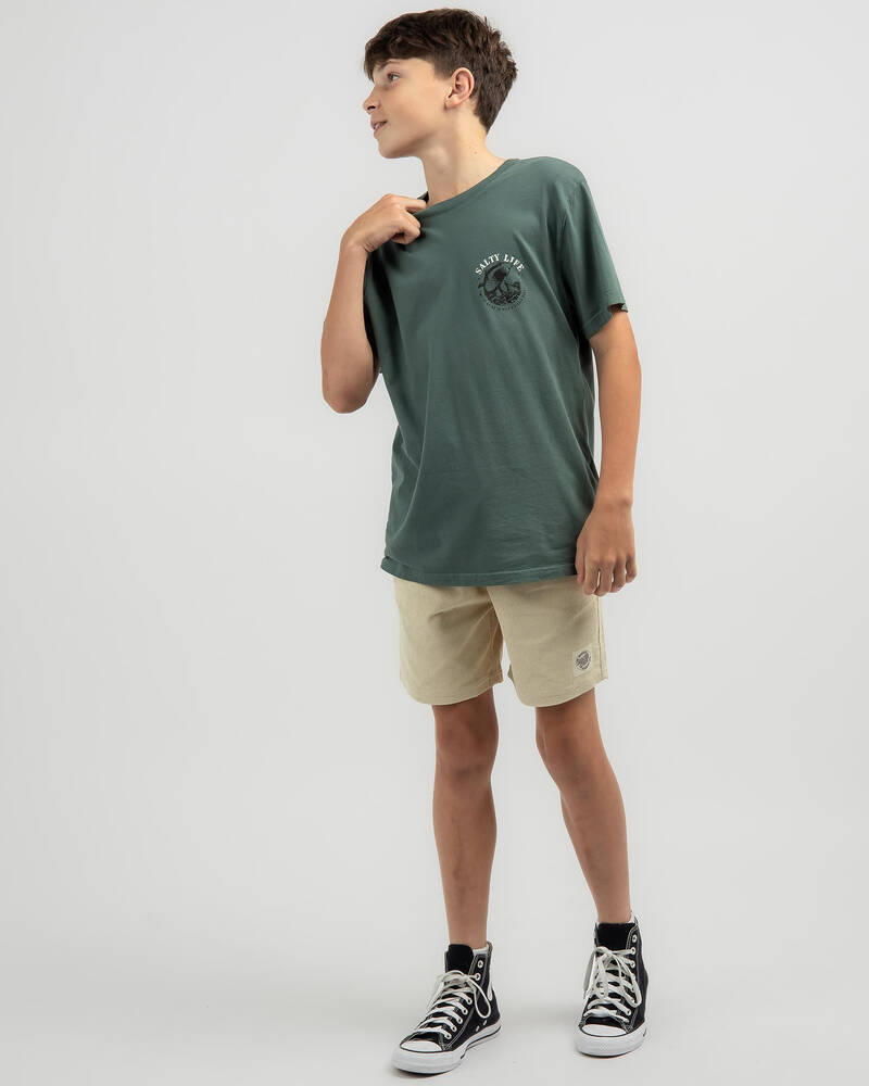 Salty Life Boys' Peak T-Shirt for Mens
