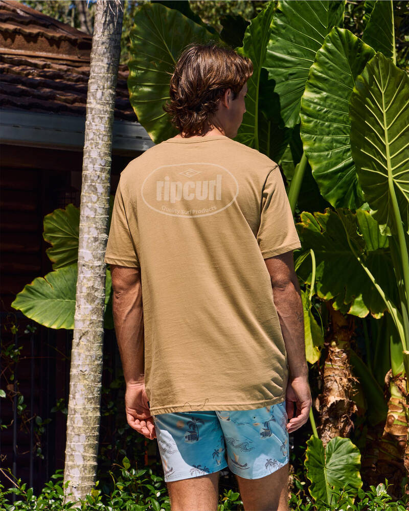 Rip Curl Everyday T-Shirt for Mens