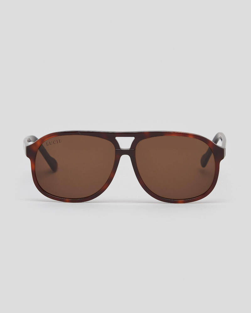 Shop Lucid Oxford Sunglasses In Tortoise Shell / Brown Fast Shipping