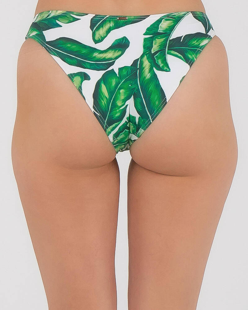 Topanga Rio Palms Bikini Bottom for Womens