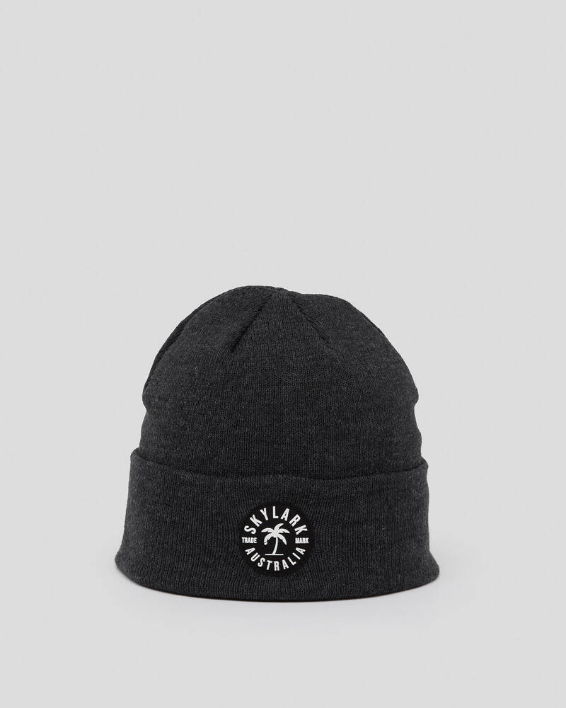 Skylark Boys' Flip Side Cuff Beanie for Mens