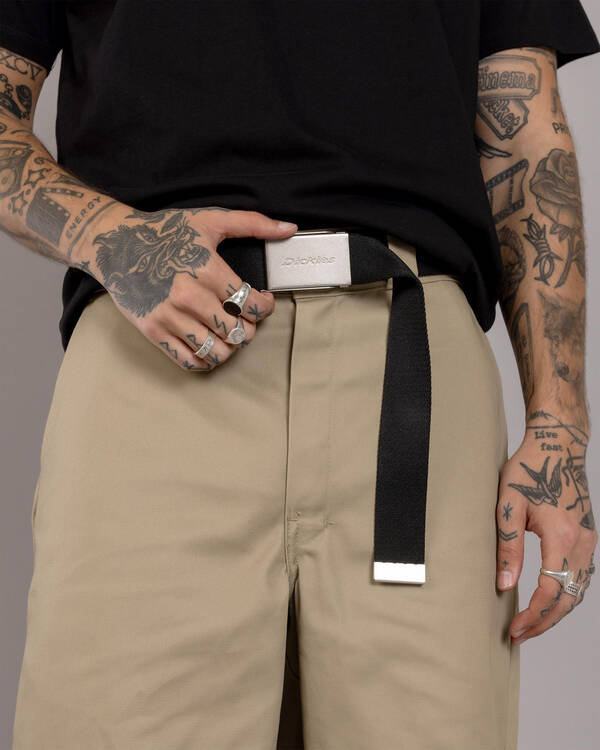 Brookston Web Belt