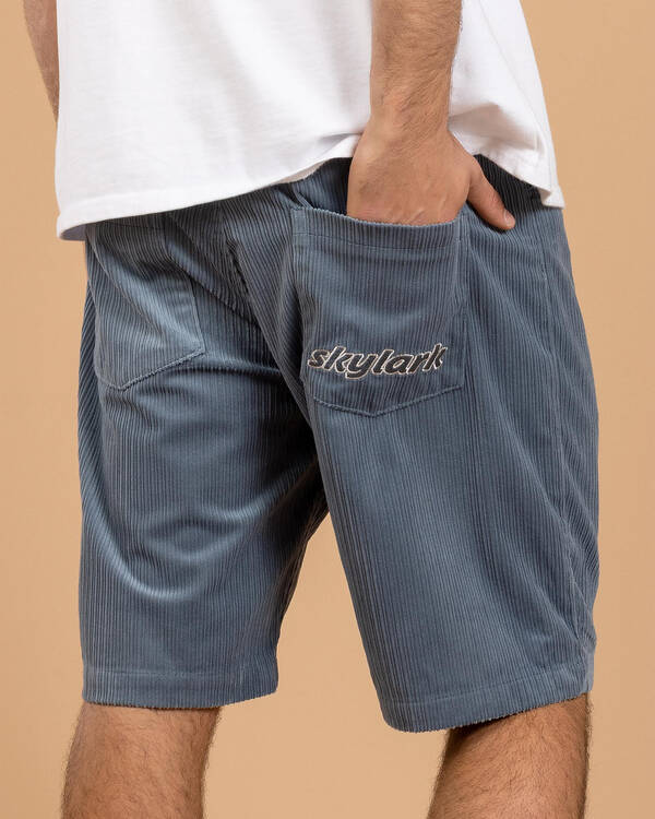 Ascent Walk Shorts