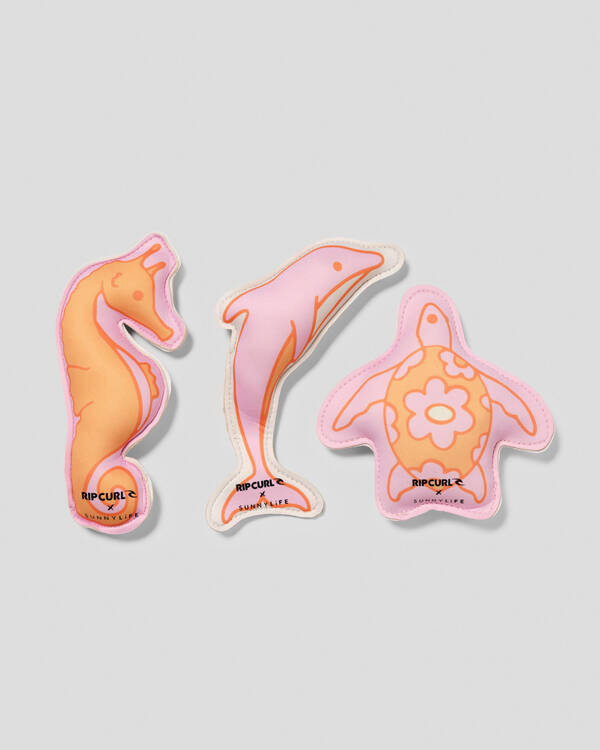 Ocean Magic Dive Buddies