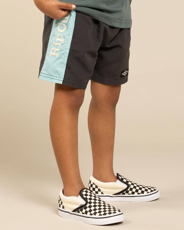 Wave Dayz Panel Volley Shorts