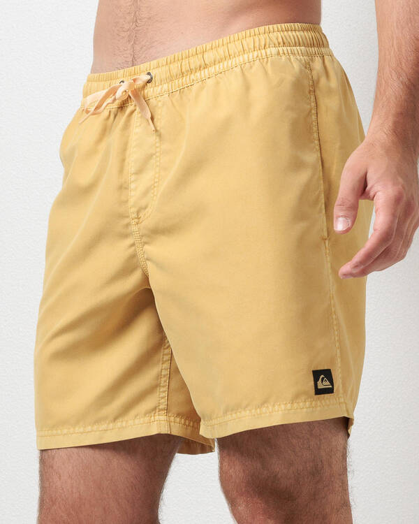 Everyday Surfwash Volley 17 NB Board Shorts