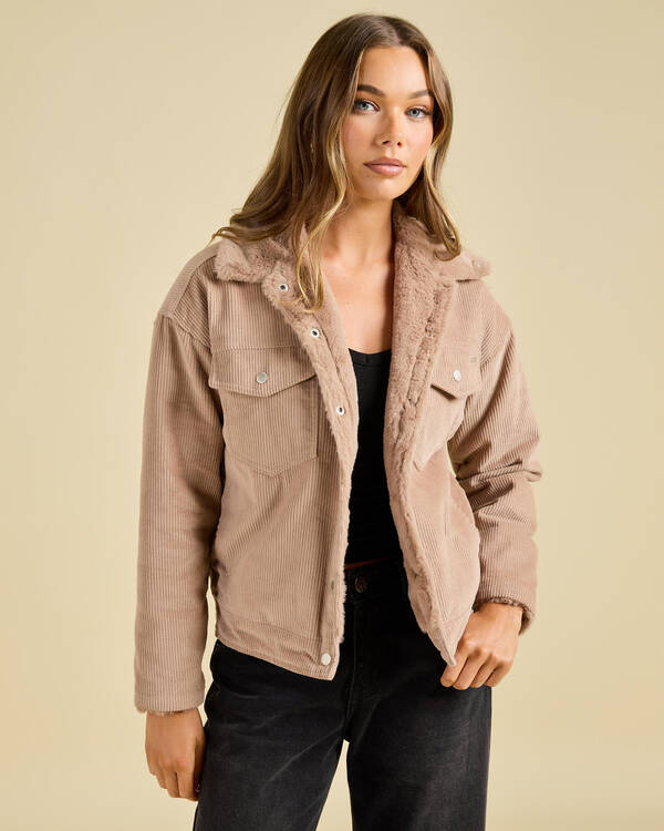 Bear Jacket