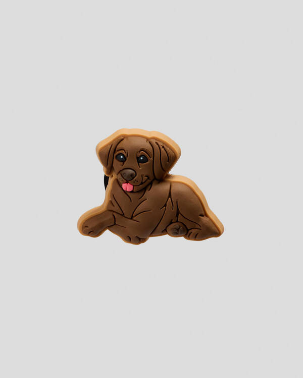 Brown Lab Puppy Jibbitz