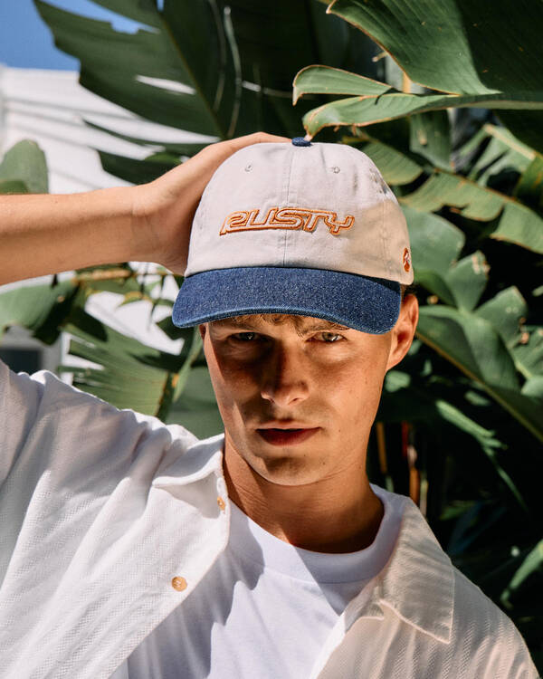 Arctic Dad Cap