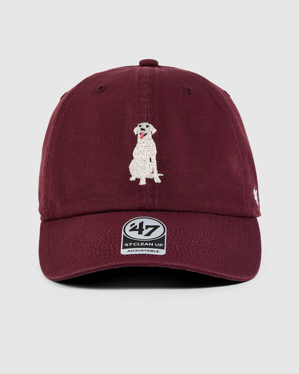 Pets Labrador Cap
