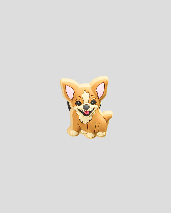 Chihuahua Puppy Jibbitz