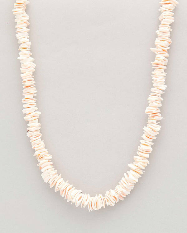 Puka Shell Necklace