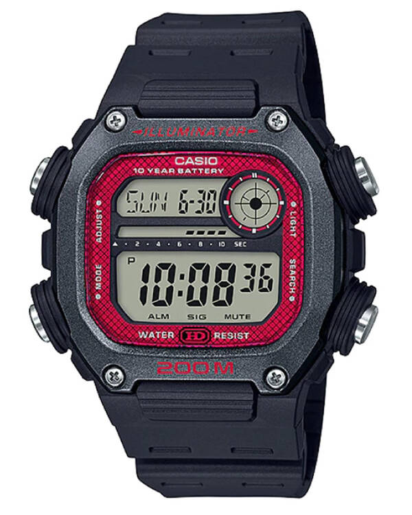 DW291 Watch