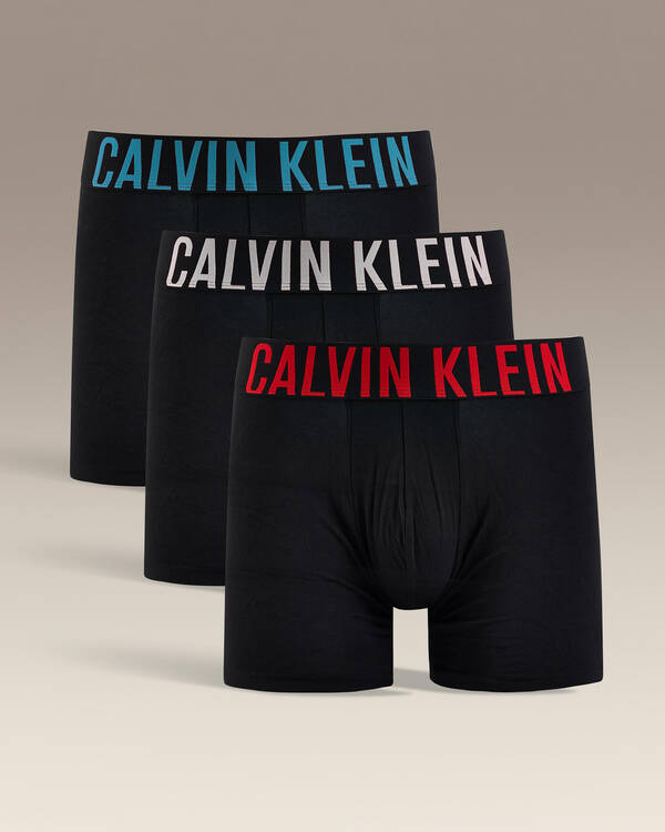 Intense Power Cotton Stretch Boxer Brief