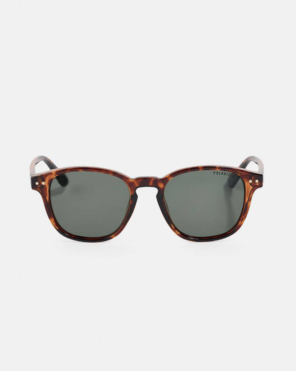 Phoenix Polarised Sunglasses
