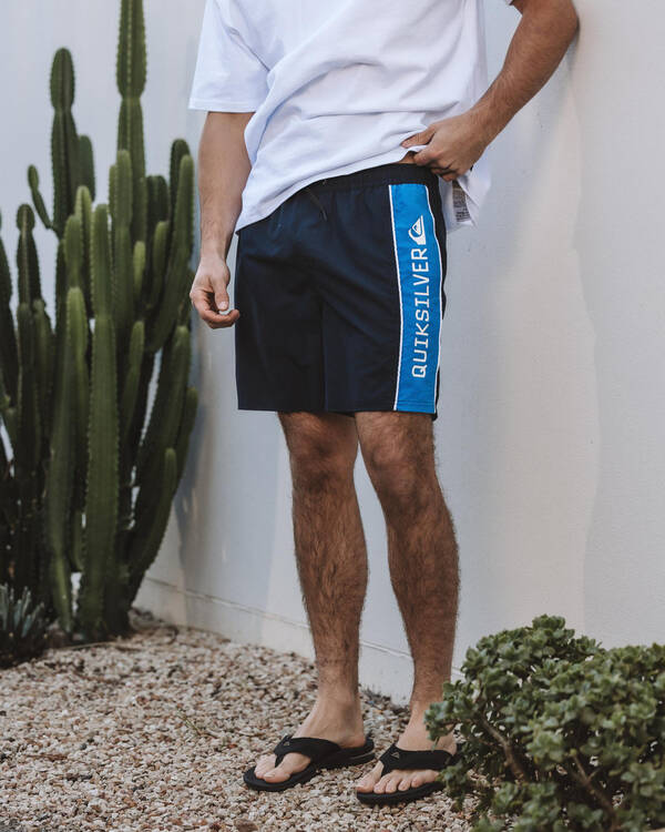 Everyday Clicker Volley Board Shorts