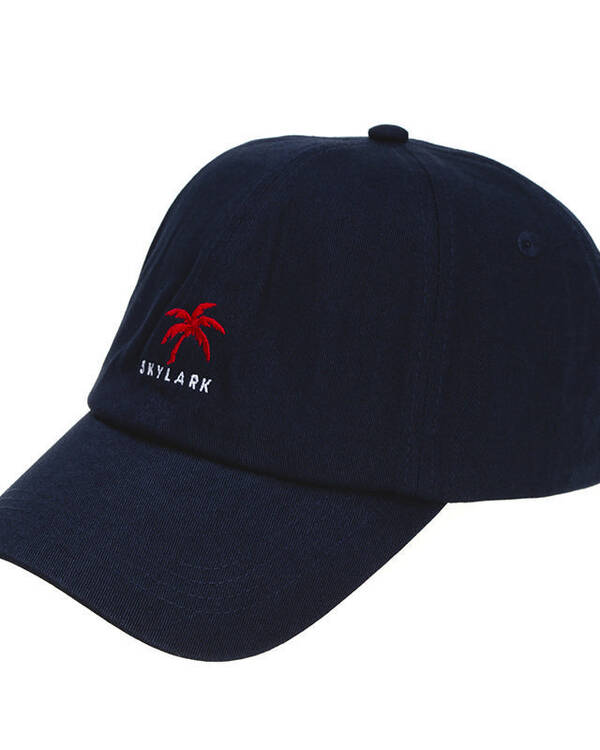 Streamline Dad Cap