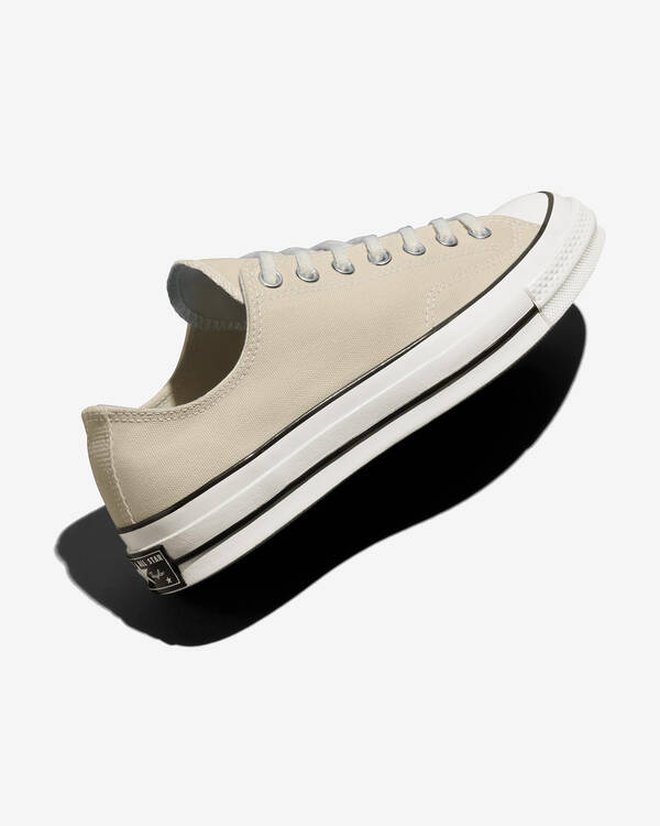 Chuck Taylor All Star Ox Shoes
