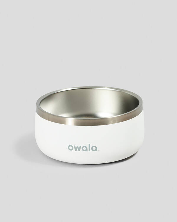 24oz Stainless Steel Pet Bowl
