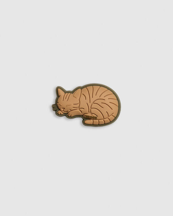 Tabby Cat Jibbitz