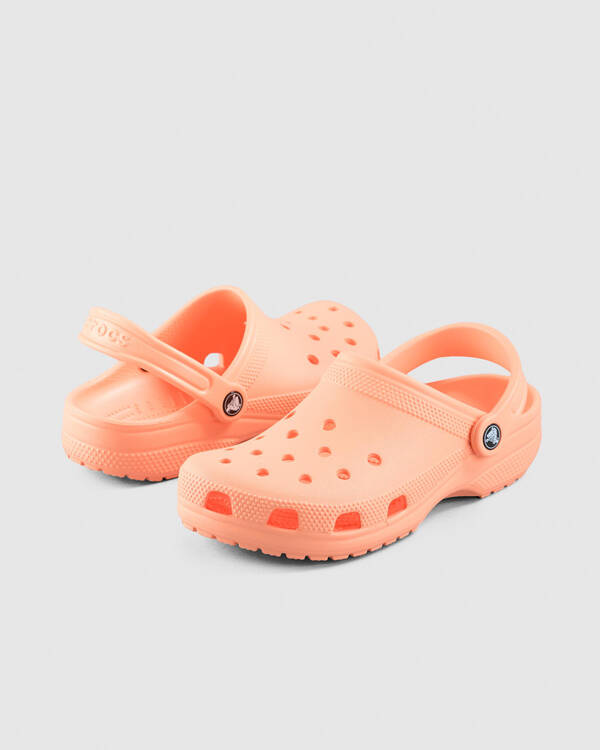 Classic Clogs Shoes