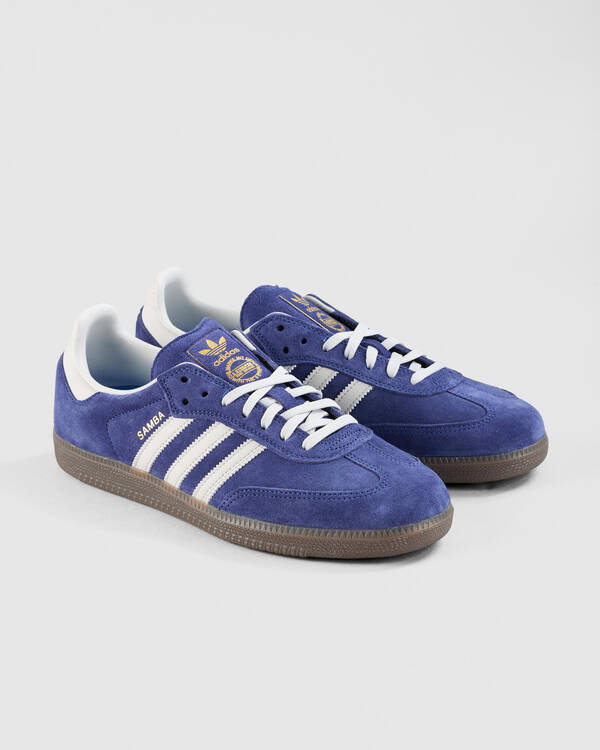 Samba ADV Shoes