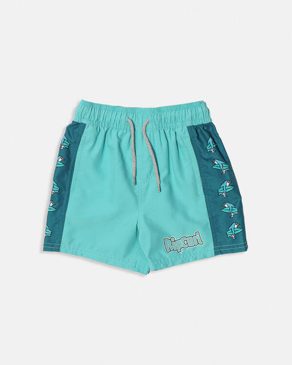 Paddle Out Panel Board Shorts