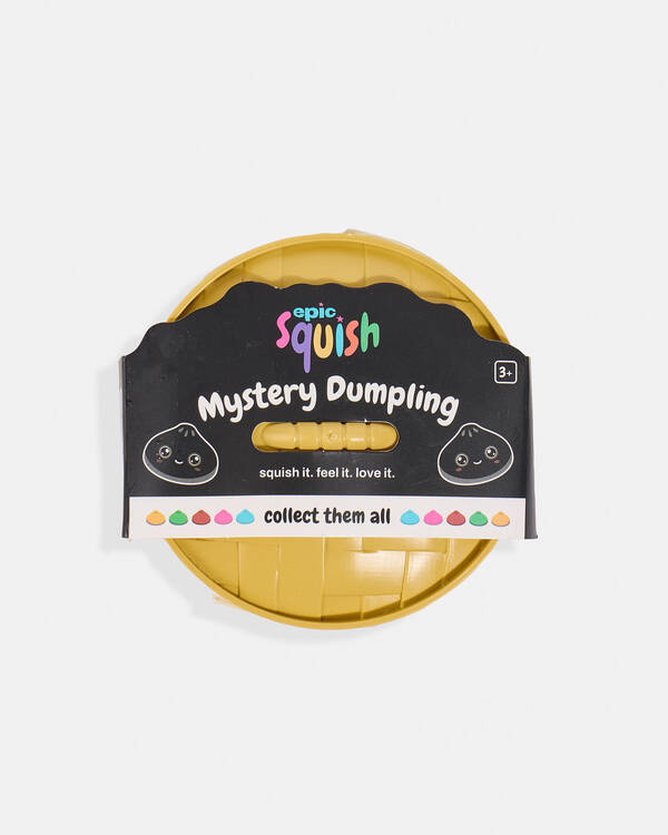 Mystery Dumpling Squishy Fidget Toy Blind