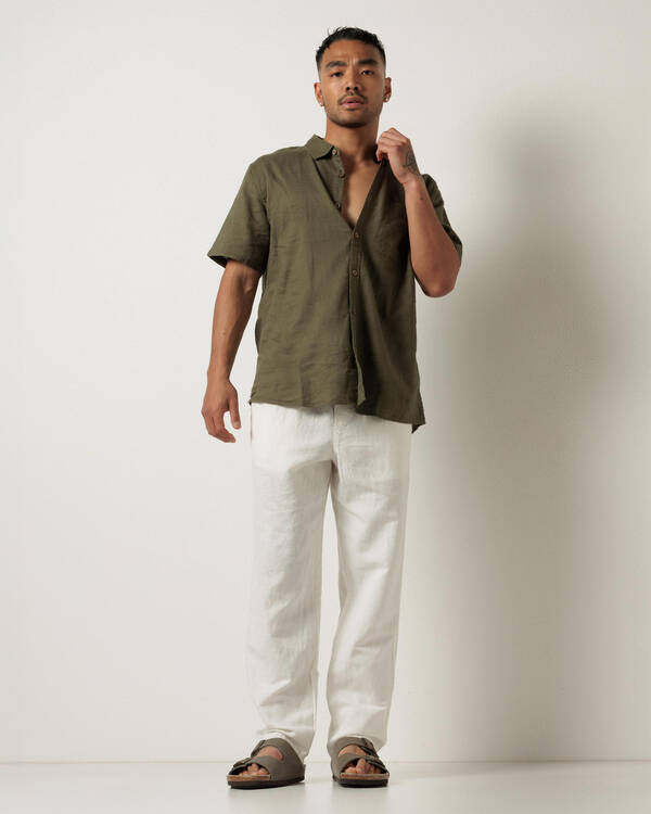 Skylark Leisurely Linen Blend Pants for Mens