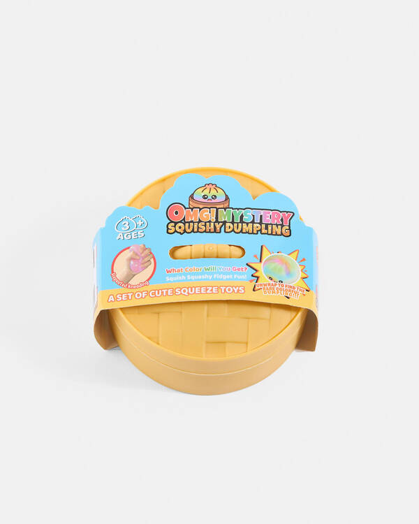 Mystery Squishy Holographic Dumpling Fidget Toy