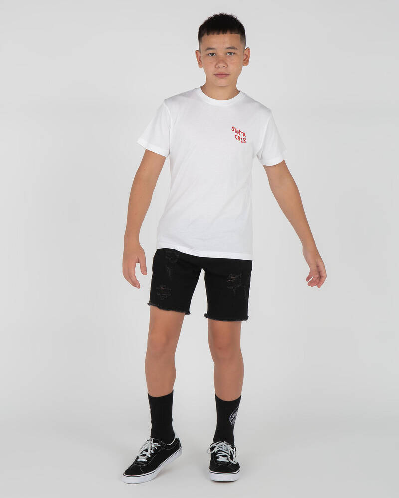 Santa Cruz Boys' Screamer T-Shirt for Mens