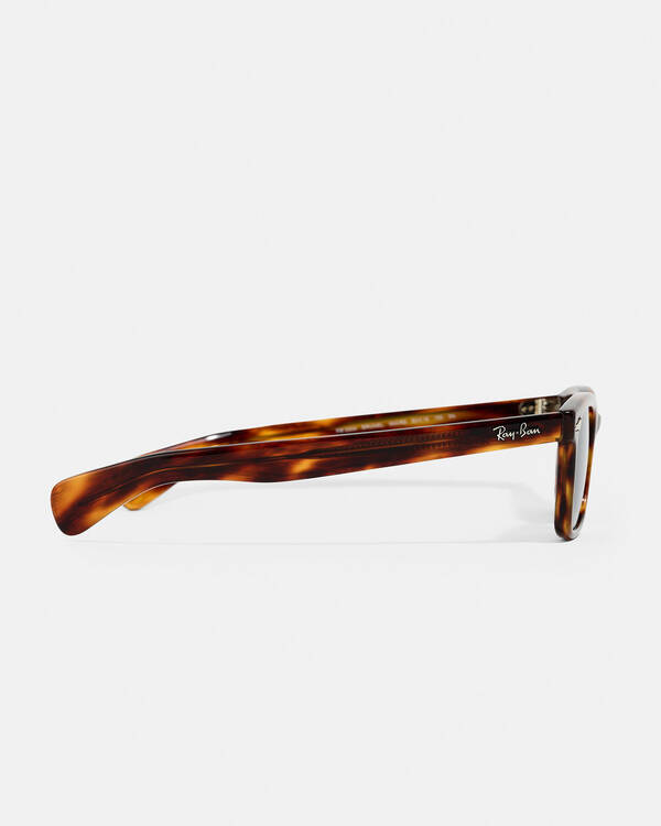 Ray-Ban Brunel Sunglasses for Mens