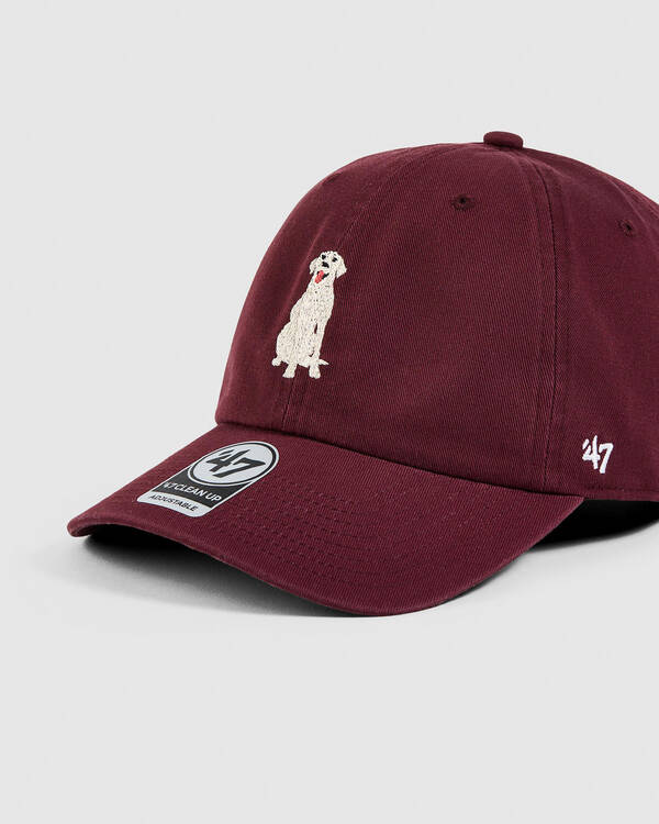 Forty Seven Pets Labrador Cap for Womens