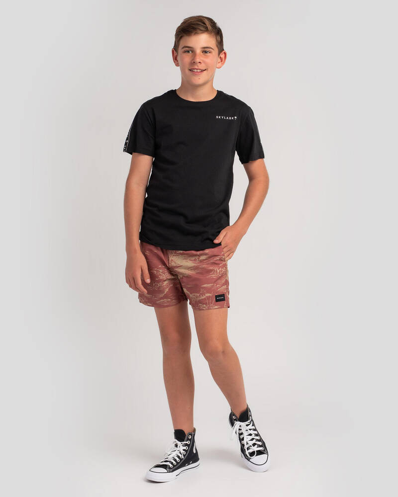 Rip Curl Boys' Dreamers Volley Shorts for Mens
