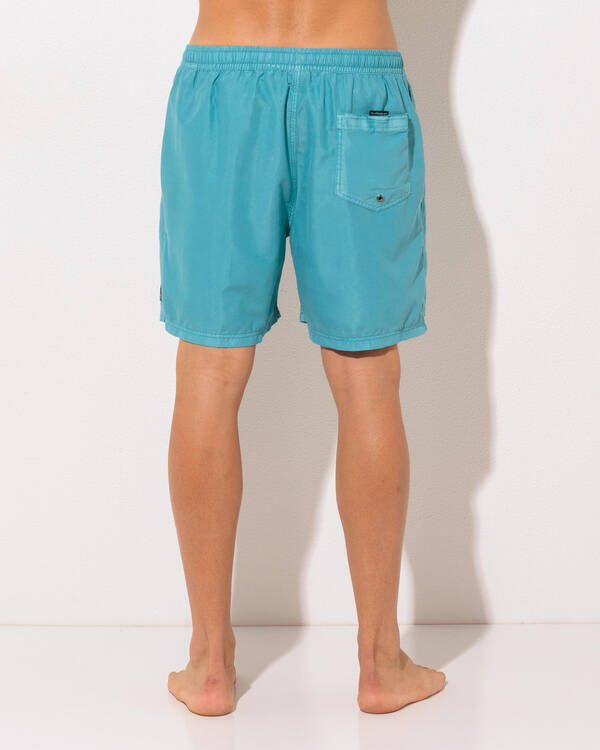 Quiksilver Everyday Surfwash Volley 17 NB Board Shorts for Mens