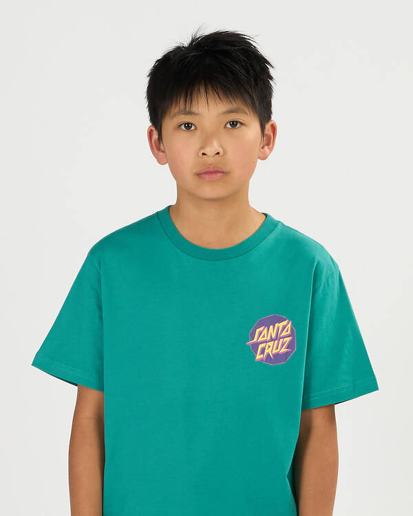 Santa Cruz Boys' Meek Scratched Slasher T-Shirt for Mens