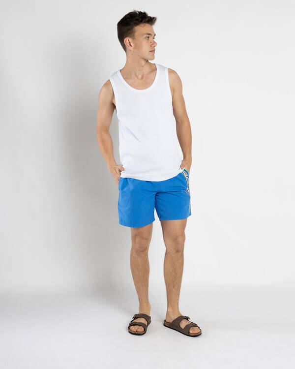 Quiksilver Everyday Vert Volley 2 17" Board Shorts for Mens