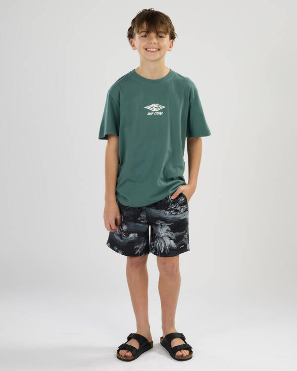 Rip Curl Boys' Dreamers Volley Shorts for Mens