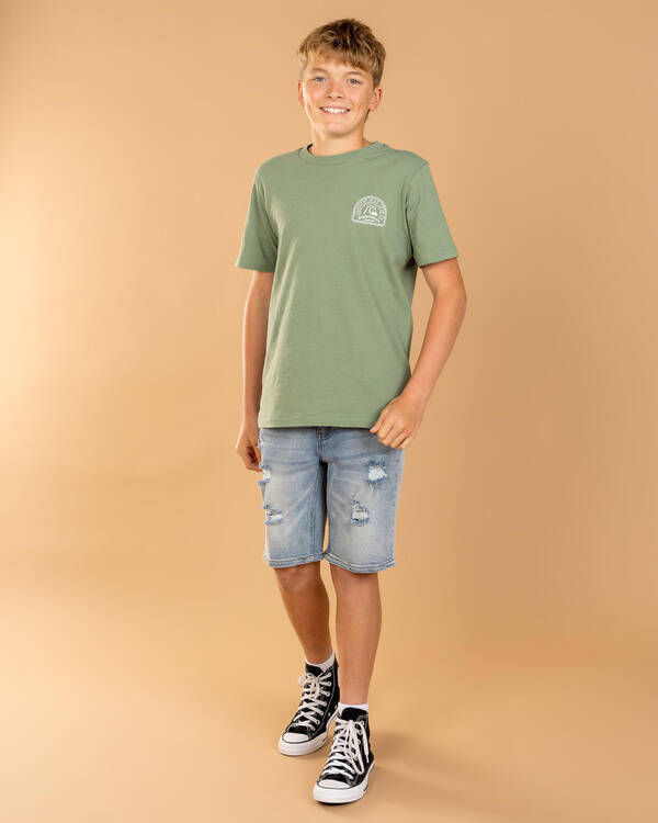 Quiksilver Swell Lines T-Shirt for Mens