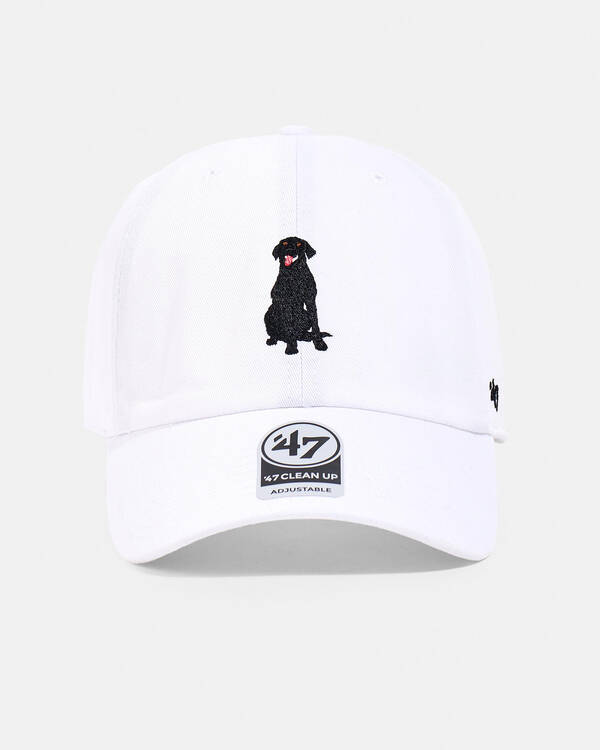 Forty Seven Labrador Clean Up Baserunner Cap for Womens