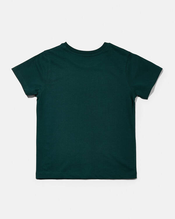 Unit Toddlers' Roarland T-Shirt for Mens