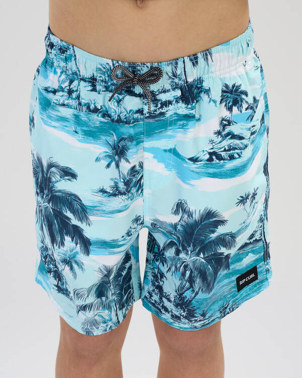 Rip Curl Boys' Dreamers Volley Shorts for Mens