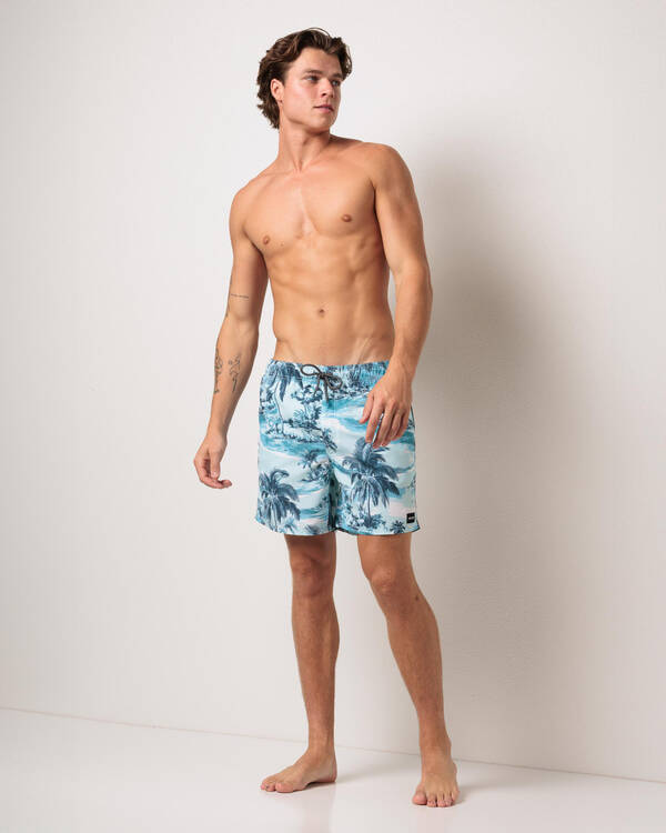 Rip Curl Dreamers Volley Shorts for Mens