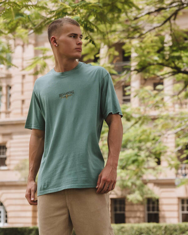 Billabong Pure Intentions Premium T-Shirt for Mens