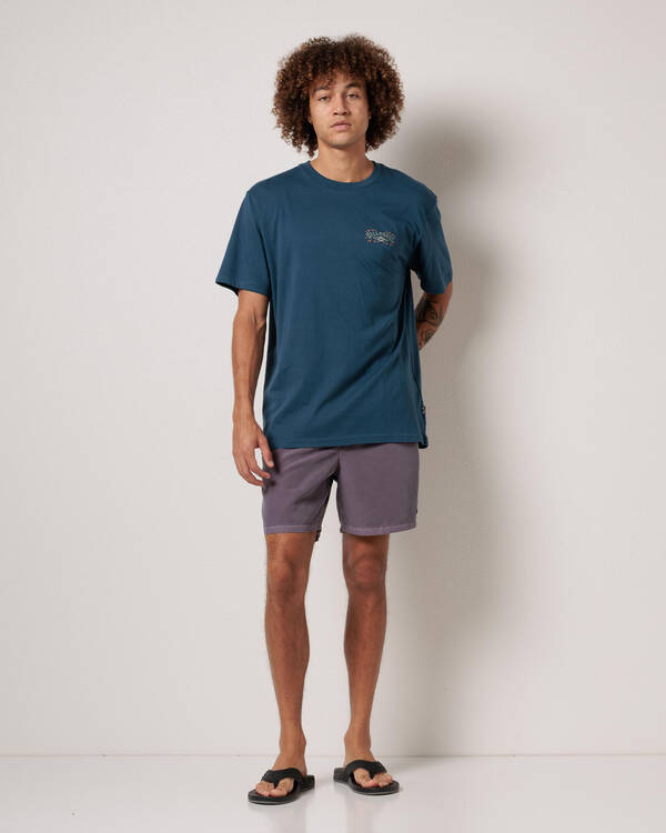 Billabong Heritage Arch Premium T-Shirt for Mens